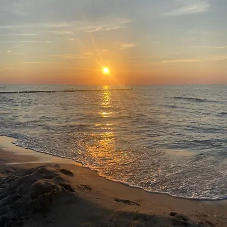 Der Strandkater Og Dg Priemer Gm 69667