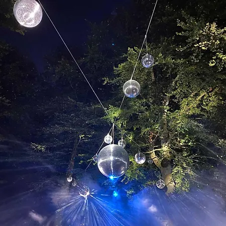 Lejlighed Der Strandkater Og Dg Priemer Gm 69667 Muritz