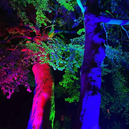 Der Strandkater Og Dg Priemer Gm 69667 Lejlighed